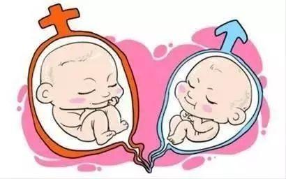 胚胎培养室
